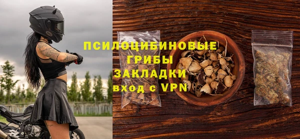шишки Арсеньев