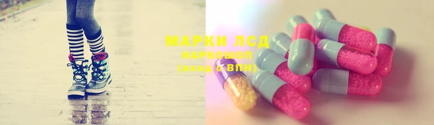 шишки Арсеньев