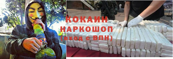 ПСИЛОЦИБИНОВЫЕ ГРИБЫ Армянск