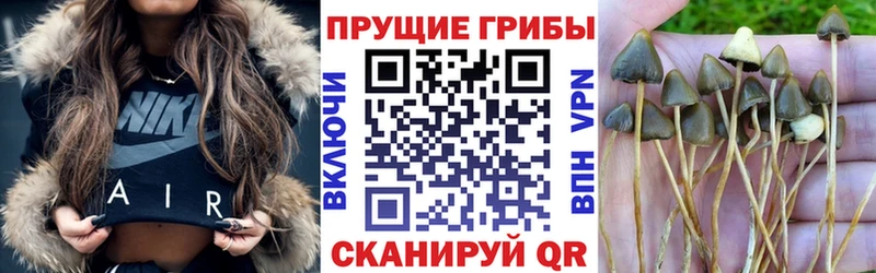 мориарти наркотические препараты Баймак Галлюциногенные грибы ЛСД